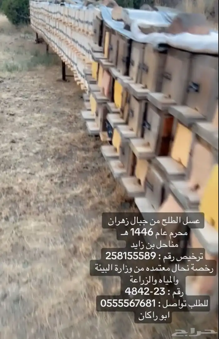 عسل اصلي بلدي طبيعي 11
