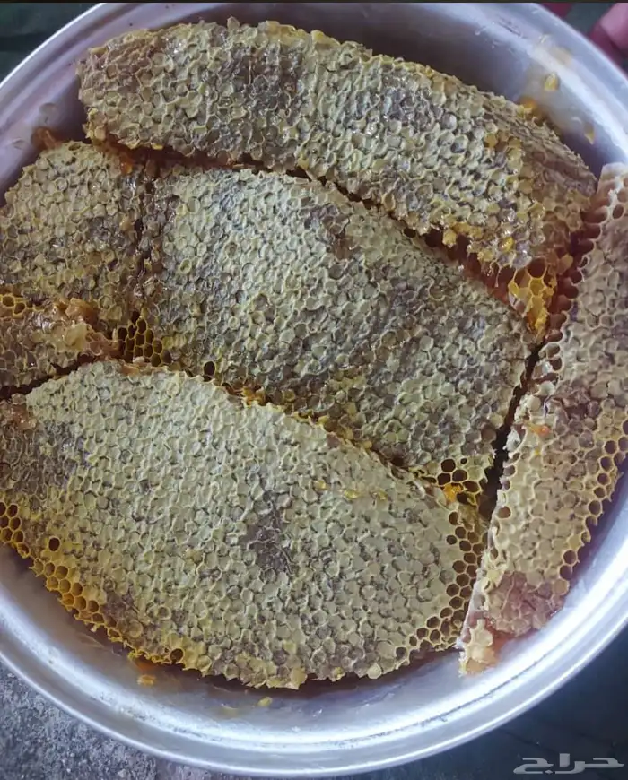 عسل اصلي بلدي طبيعي 8