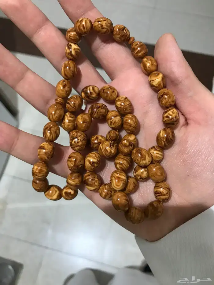 دارسيني قديم 3