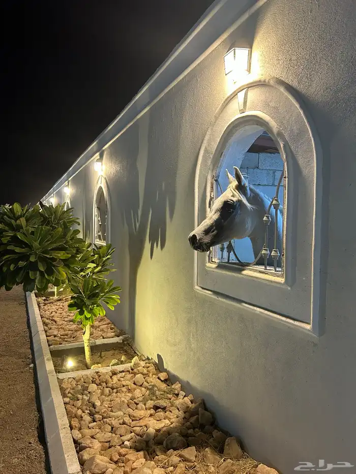 مربط واسطبل خيل 2