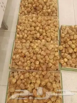 تمر سكر مفتل 1