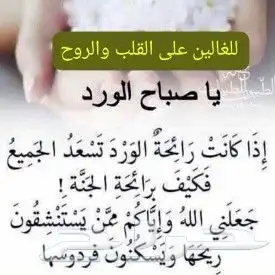 توصيل مشاويرطلبات اغراض هدايا جدة مكة رابغ ينبع ثول المدينه 0