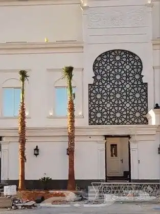 نخل وشنطتي زينه يوجد لدينا جميع المقاسات والحجام ونخل عربي 1