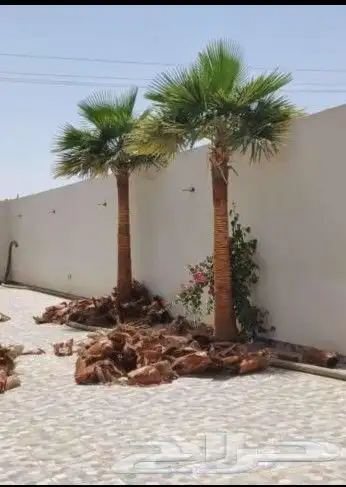 تنسيق حدائق وشبكات ري 13