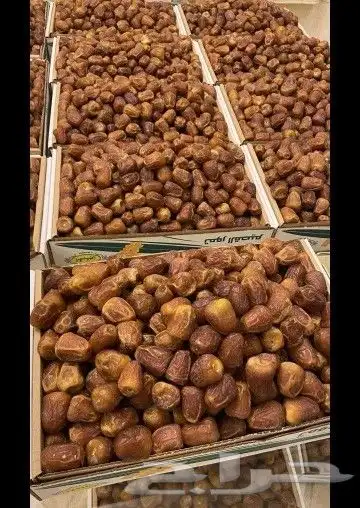 تمر سكر مفتل 4