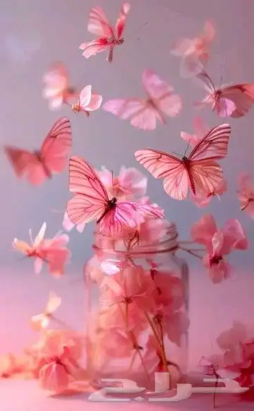 متعهده دروس خصوصيه في جميع أنحاء المملكة 0