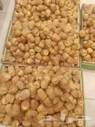 تمر سكر مفتل 3