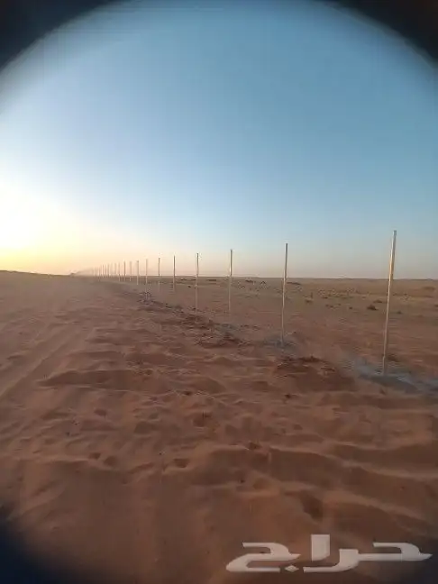 مقاول شبوك تركيب شبوك وزراعة النخيل 2