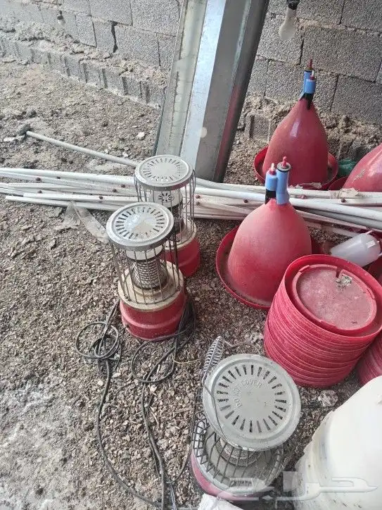 أغراض مشروع دواجن 5