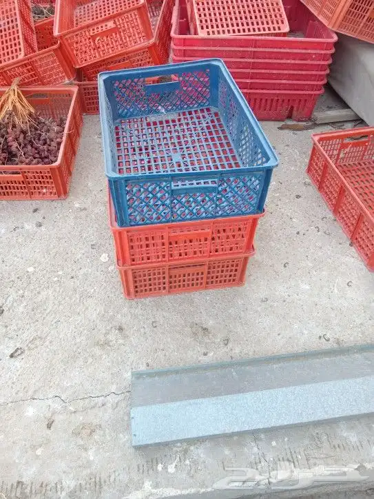 أغراض مشروع دواجن 0