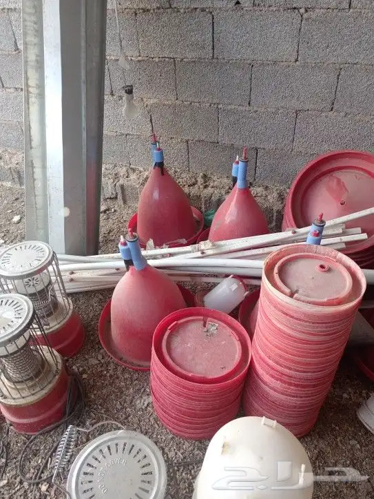 أغراض مشروع دواجن 6