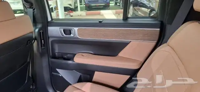 سنتافي 2024 كاليجرافي سجنتشر أعلى فئة 34