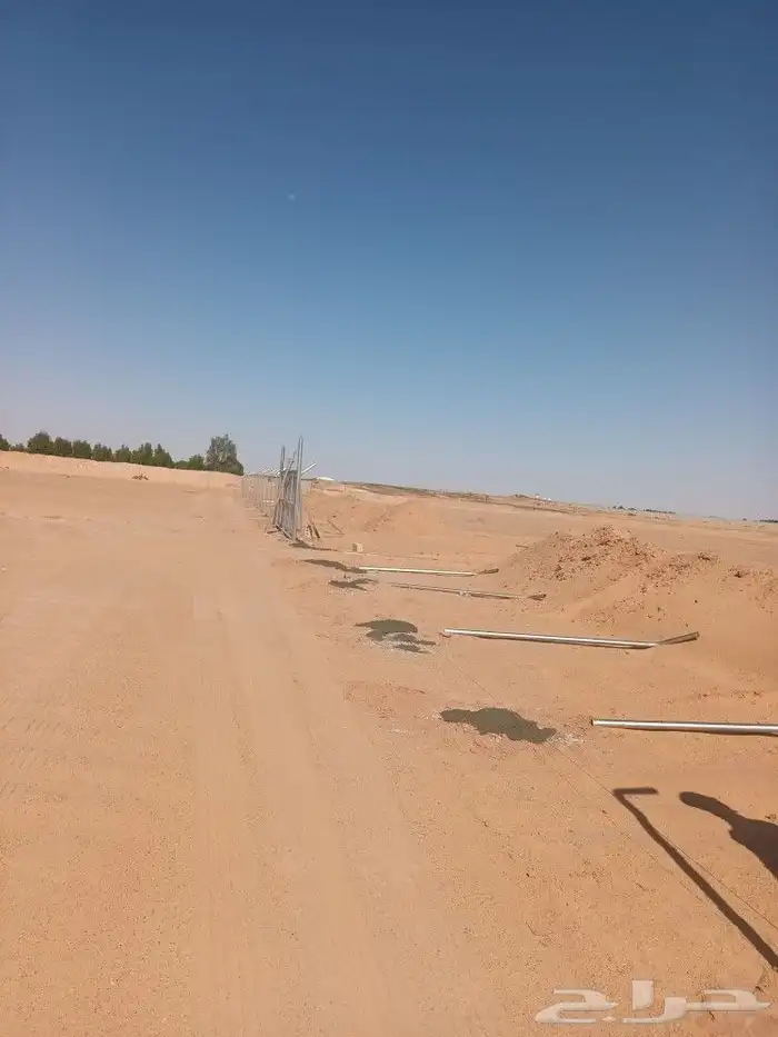 مقاول شبوك تركيب شبوك وزراعة النخيل 5