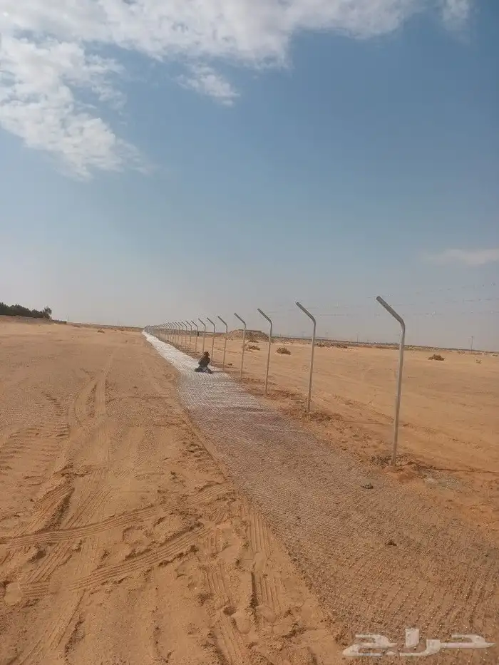 مقاول شبوك تركيب شبوك وزراعة النخيل 1