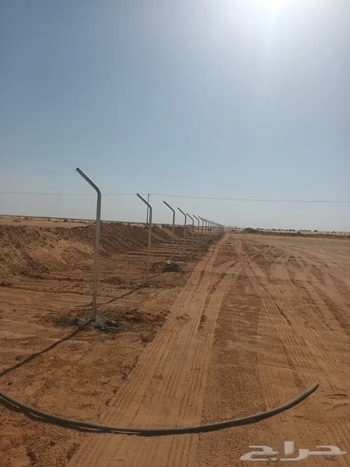 مقاول شبوك تركيب شبوك وزراعة النخيل 4