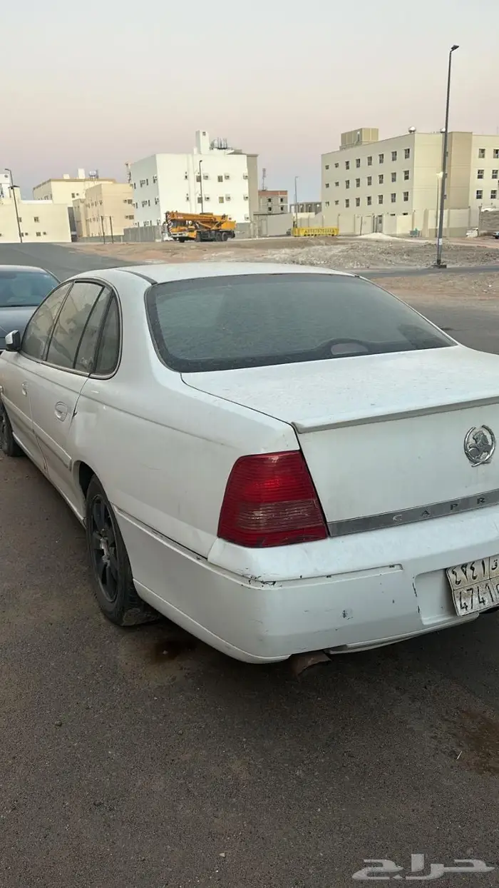 كابرس 2005 2