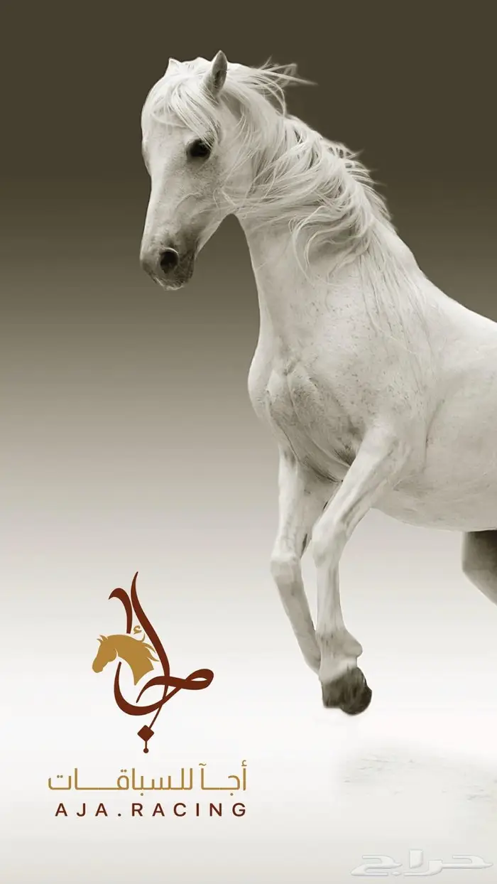 تصميم شعارات 16