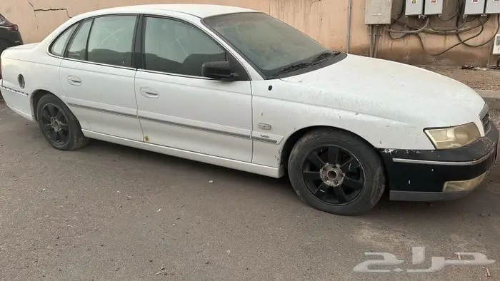 كابرس 2005 1