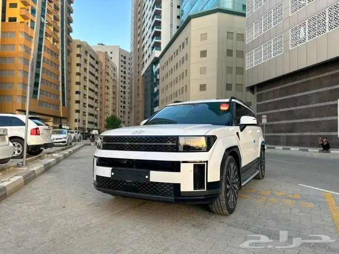 سنتافي 2024 كاليجرافي سجنتشر أعلى فئة 0