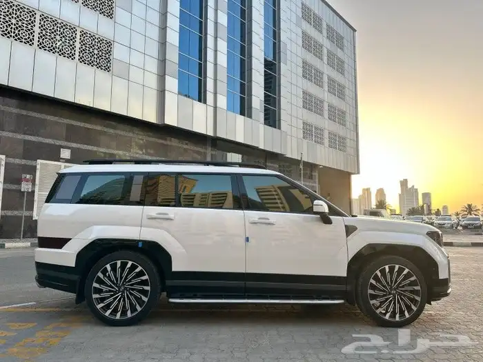 سنتافي 2024 كاليجرافي سجنتشر أعلى فئة 1