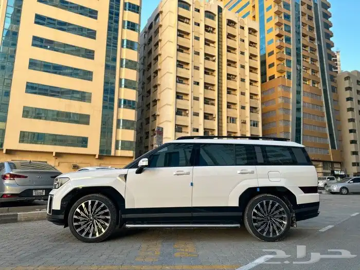 سنتافي 2024 كاليجرافي سجنتشر أعلى فئة 2