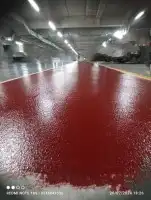 معلم دهان الرياض الايبوكسي 9