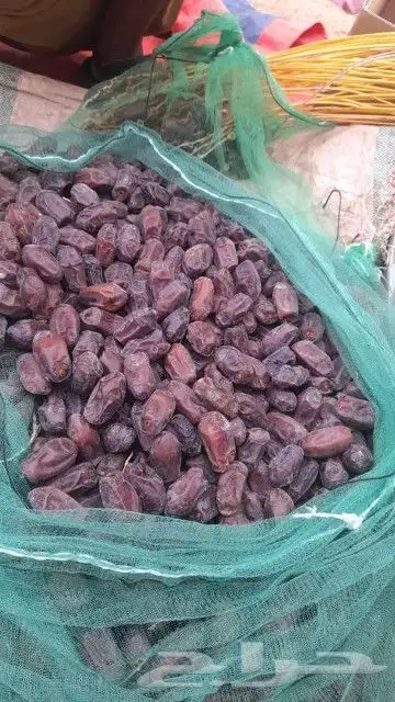 متوفر خضري طيب حبه جانبو 60طن 9