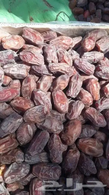 متوفر خضري طيب حبه جانبو 60طن 5