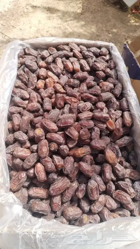 متوفر خضري طيب حبه جانبو 60طن 3