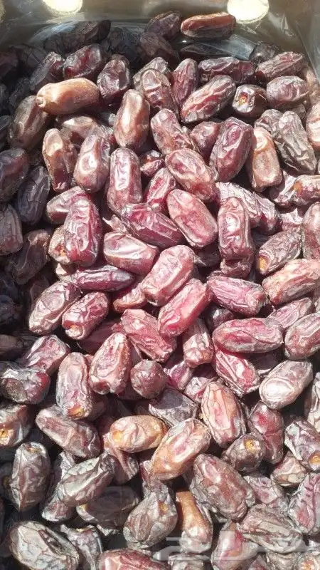 متوفر خضري طيب حبه جانبو 60طن 6