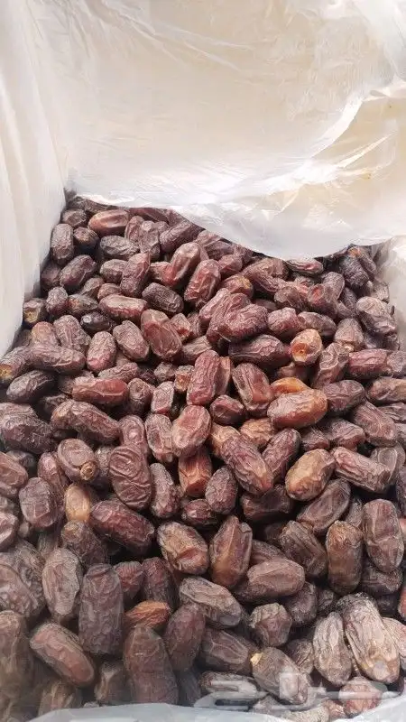 متوفر خضري طيب حبه جانبو 60طن 1