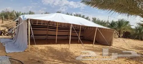 بيت شعر قطبة شمالي بدوي 9 5 بكج 4