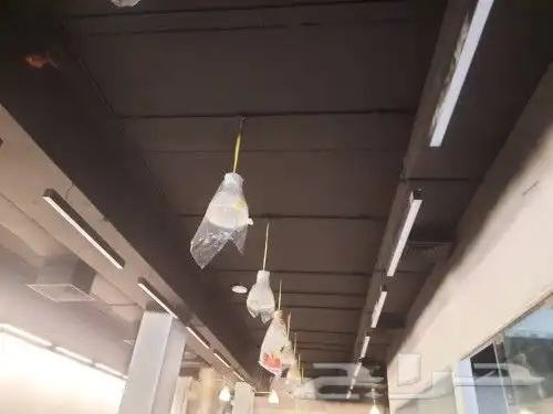 معلم دهان الرياض الايبوكسي 22