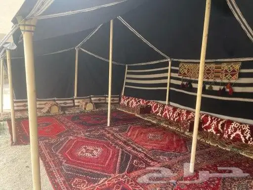 بيت شعر قطبة شمالي بدوي 9 5 بكج 5