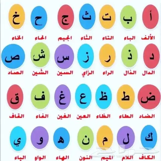 مدرسه تأسيس صفوف أوليه ومتابعة للمرحلة الابتدائية 0