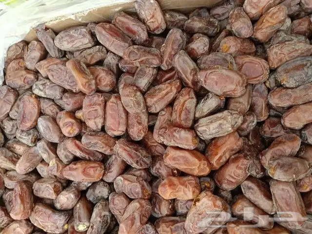 متوفر خضري طيب حبه جانبو 60طن 0