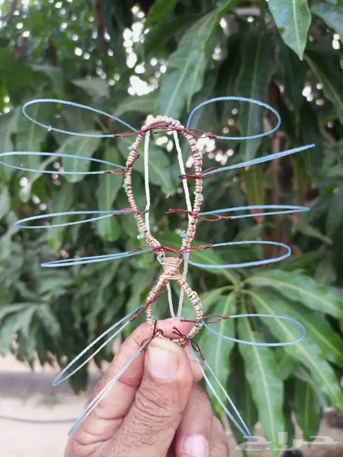 شبك لصيد الصقور 2