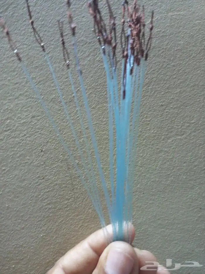 شبك لصيد الصقور 0