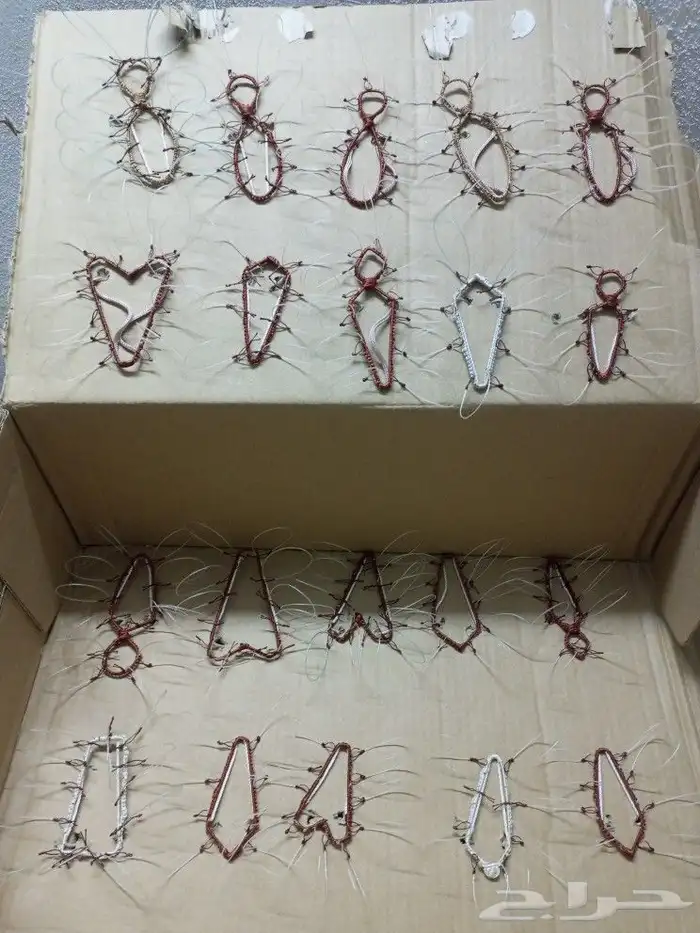 شبك لصيد الصقور 1