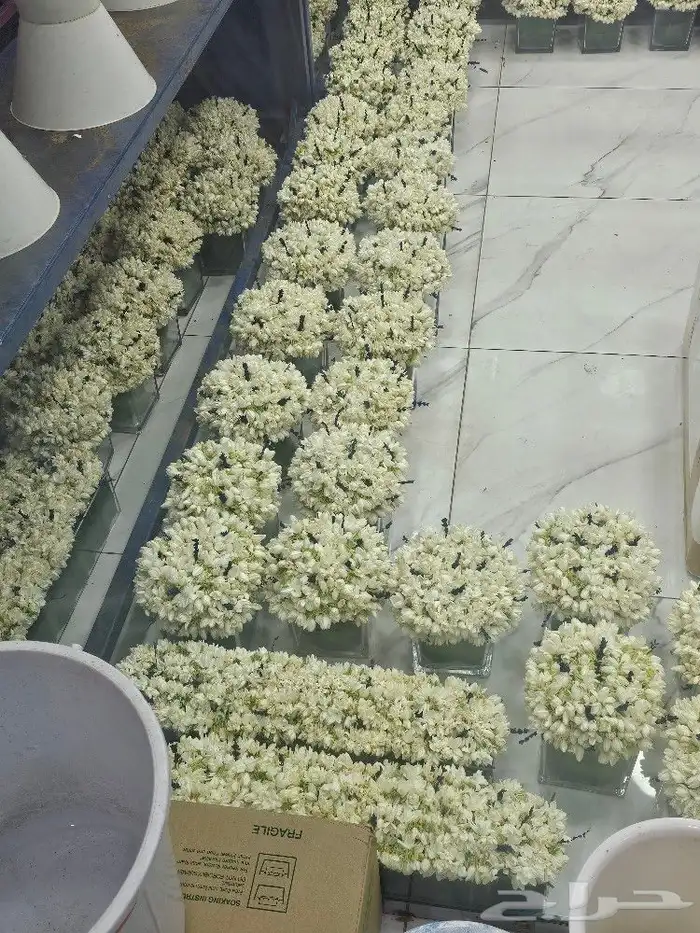 محل بيع الفل في الرياض عقود واساور واطواق جمله وتجزئه 10