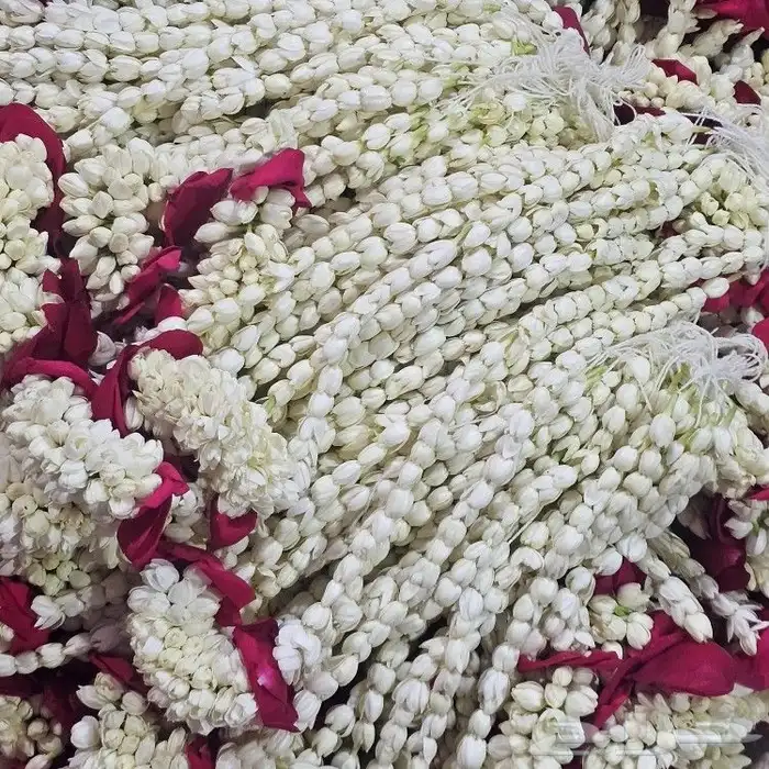 محل بيع الفل في الرياض عقود واساور واطواق جمله وتجزئه 8