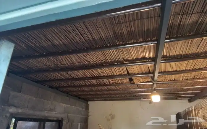 موصير استيل عدد 20 وجريد نخل عدد 7 للبيع 2