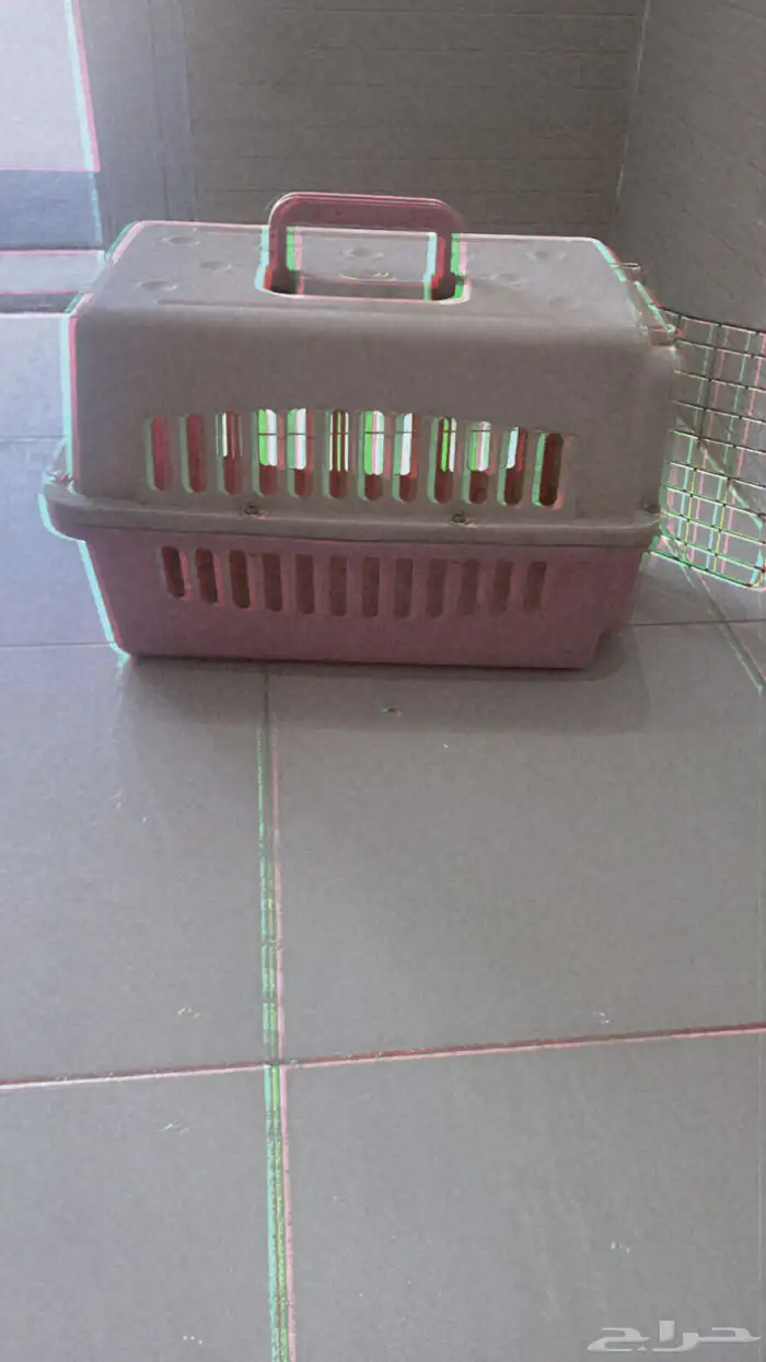 جركل لربع والبترول وجلد نسافات شاص ويد بلاستيشن وقفص للقطط 3