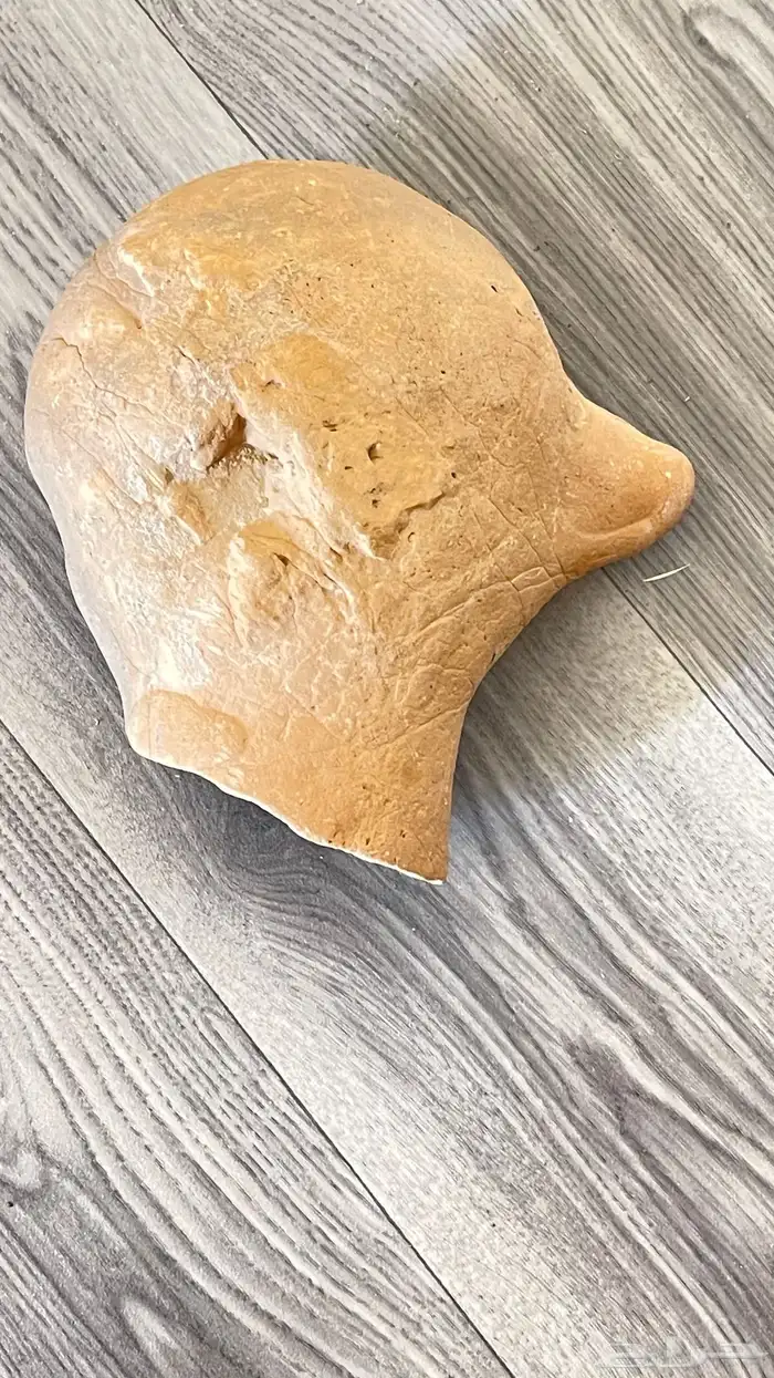تراث راس بمنقار طير 2