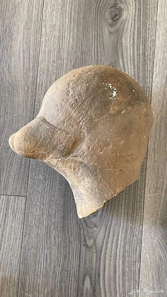 تراث راس بمنقار طير 1