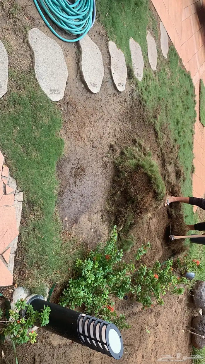ثيل طبيعي نجيله طبيعي 0