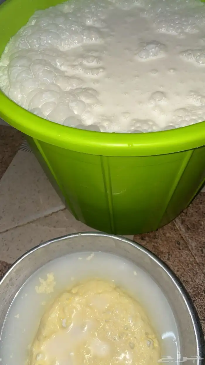 سمن بقر اصلي نظيف مشروط 3
