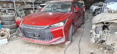 دونج 1