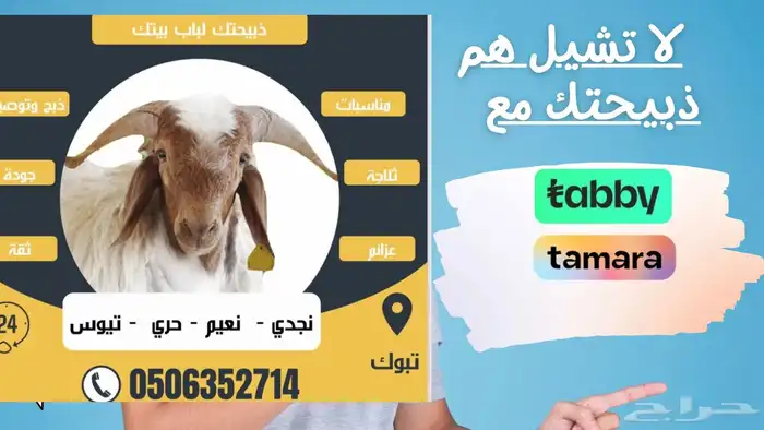 لا تشيل هم الذبيحه مع تابي وتمارا 0