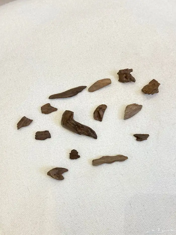 بخور مروكي دقة سوبر طبيعي 2
